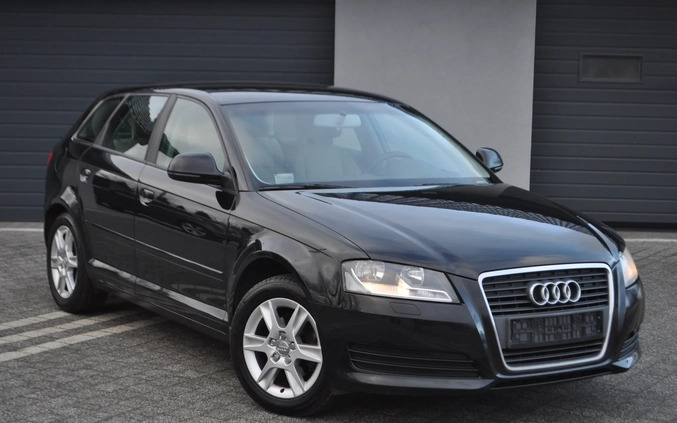 Audi A3 cena 24499 przebieg: 220000, rok produkcji 2008 z Legnica małe 781